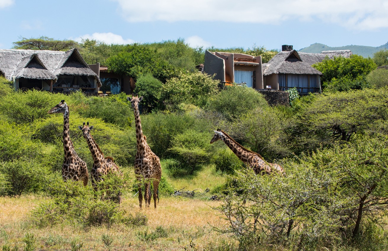Ol Donyo Lodge en su destino