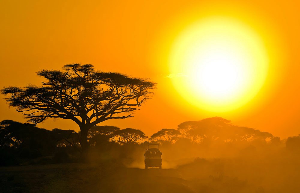 Amboseli | LAT.40