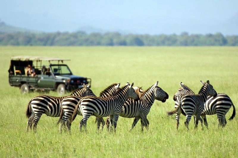 Amboseli | LAT.40