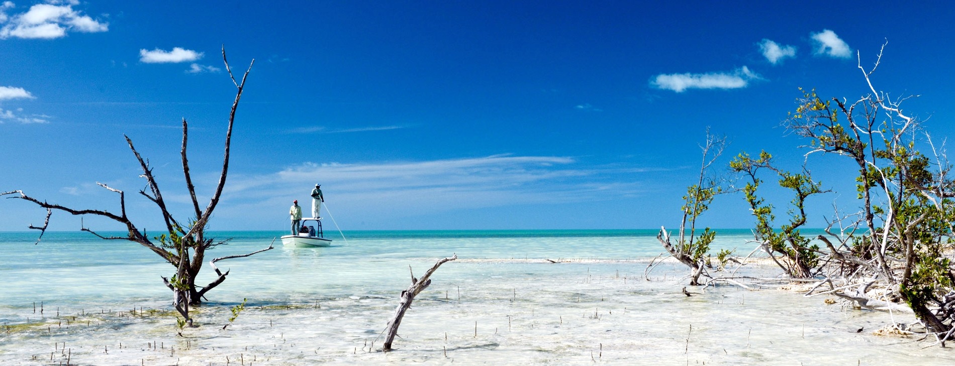 Andros Island | LAT.40