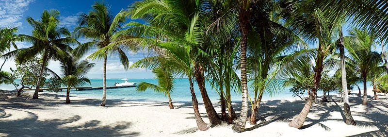 Andros Island | LAT.40