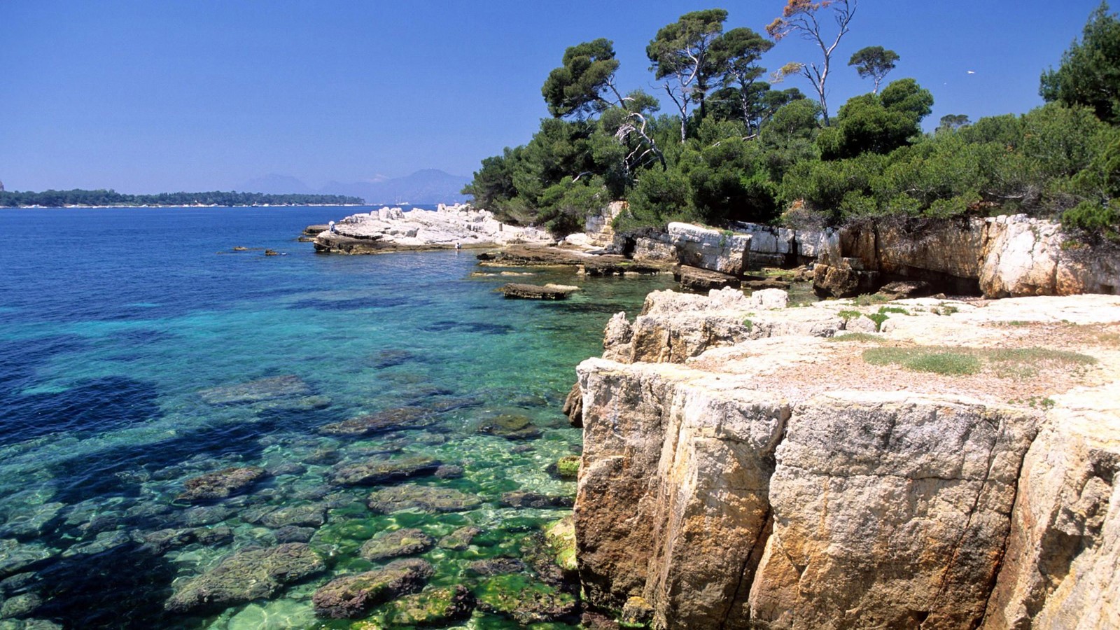 Antibes | LAT.40