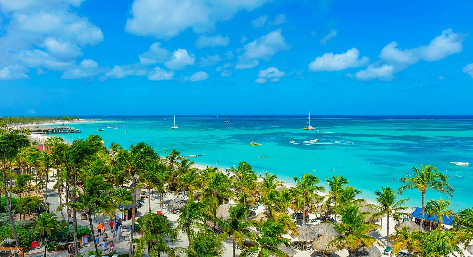 Aruba | LAT.40