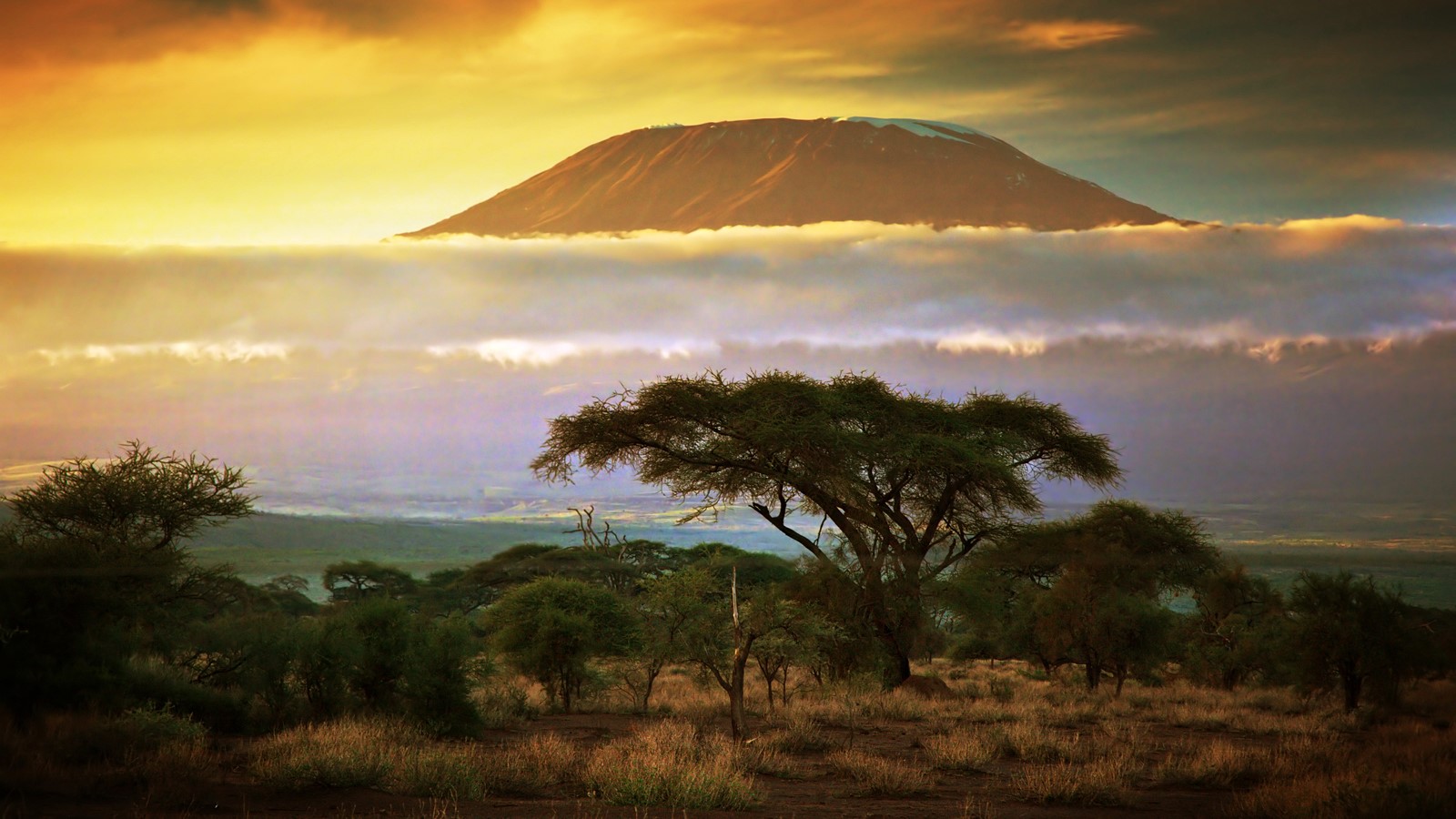 Arusha | LAT.40