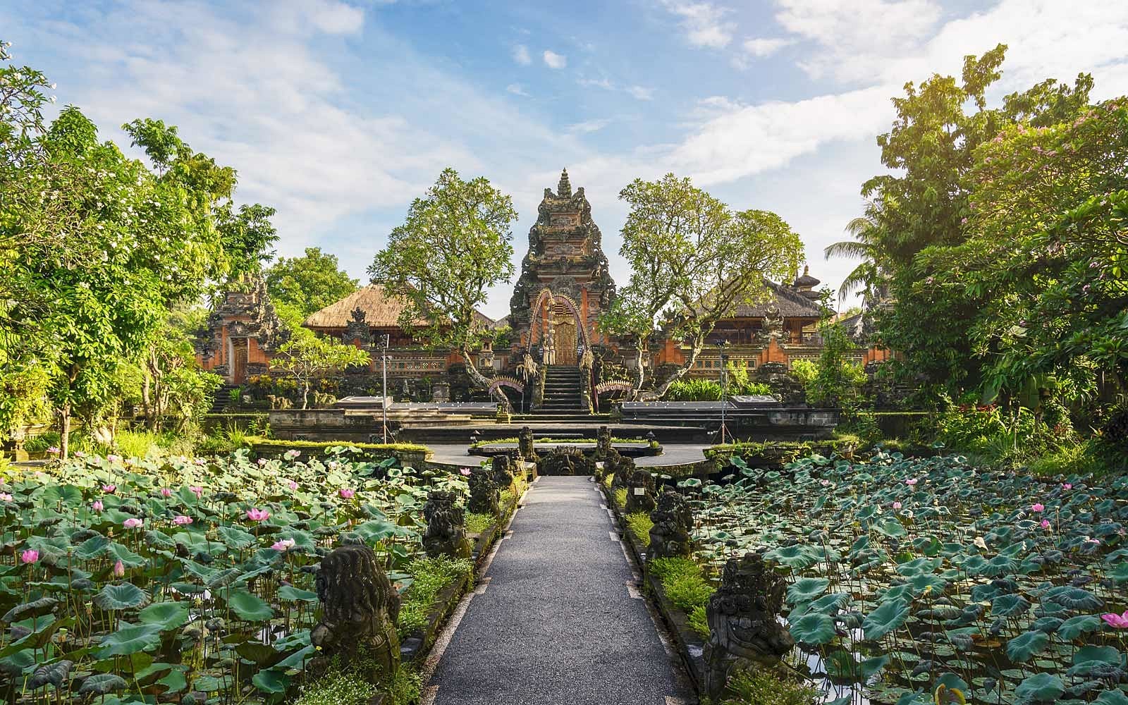 bali | LAT.40