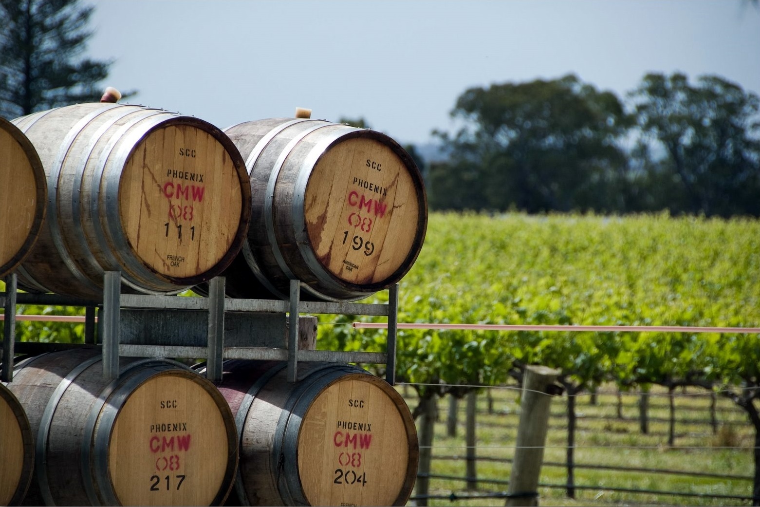 Barossa Valley | LAT.40