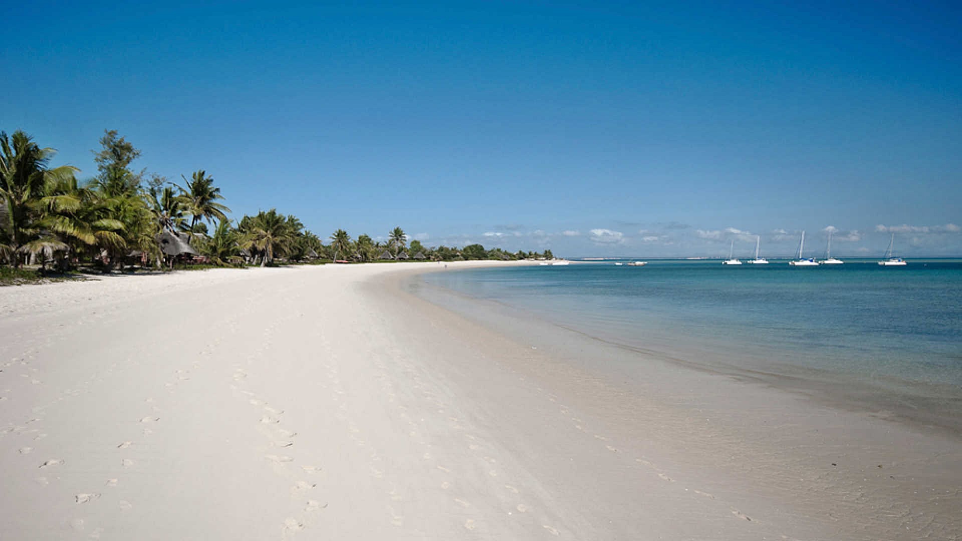 Benguerra Island | LAT.40