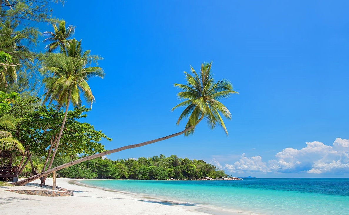 Bintan | LAT.40