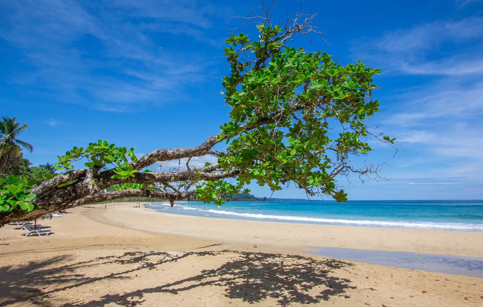 Red Frog Beach Island Resort en Bocas del Toro
