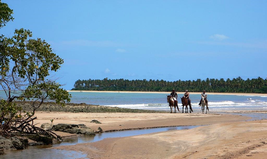 Boipeba | LAT.40