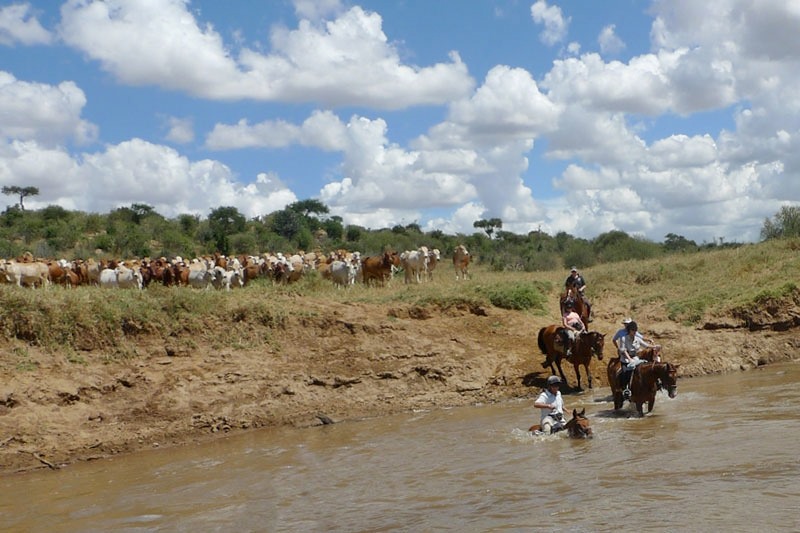 Imagen de viaje LAT.40