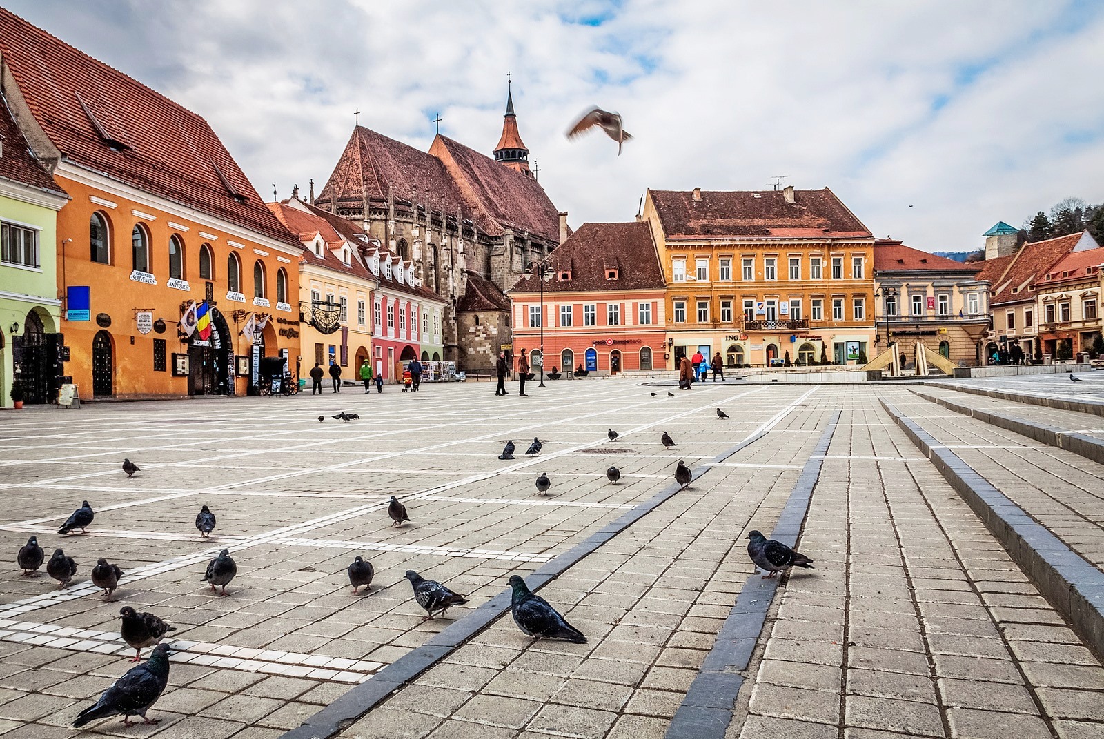 Brasov | LAT.40