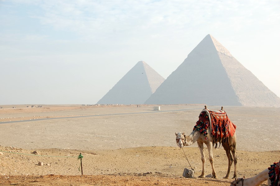 Cairo | LAT.40