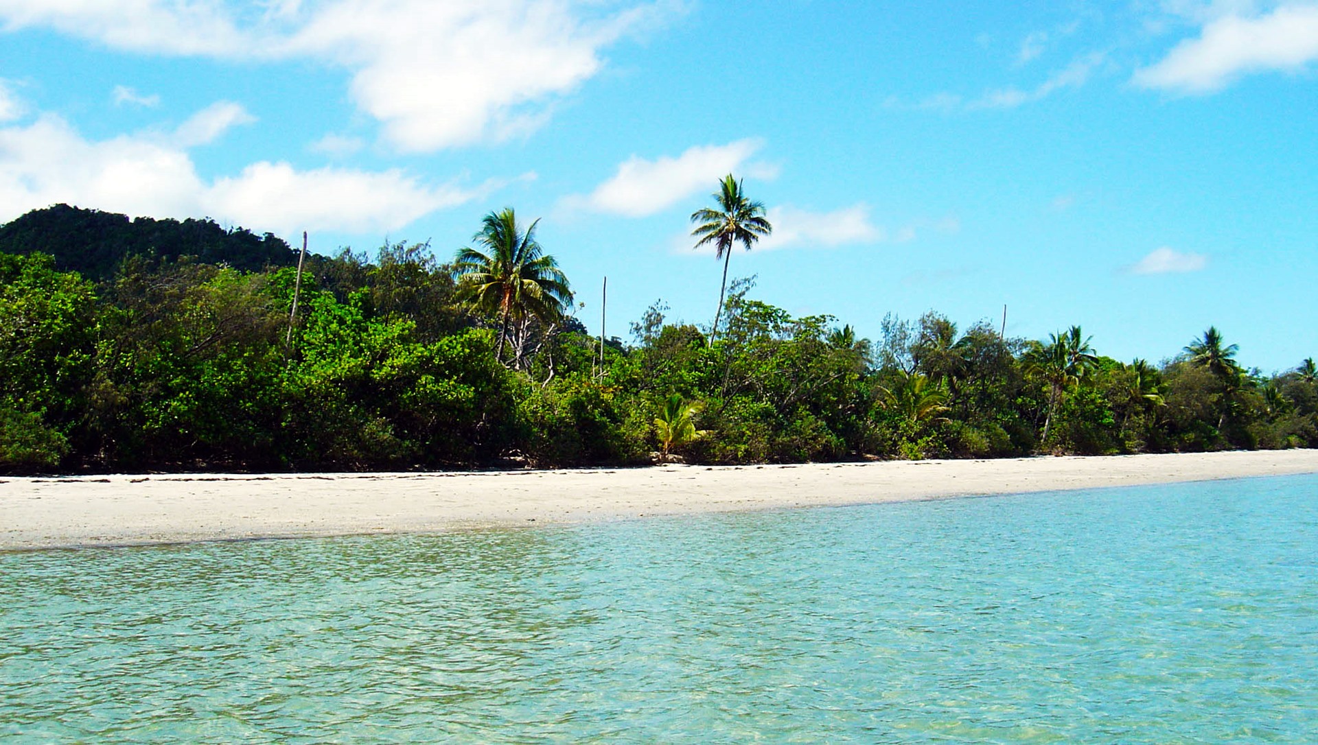 Cape Tribulation | LAT.40