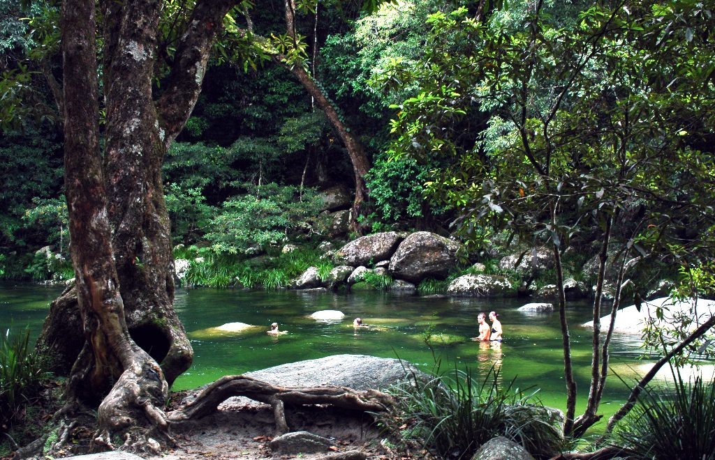 Cape Tribulation | LAT.40