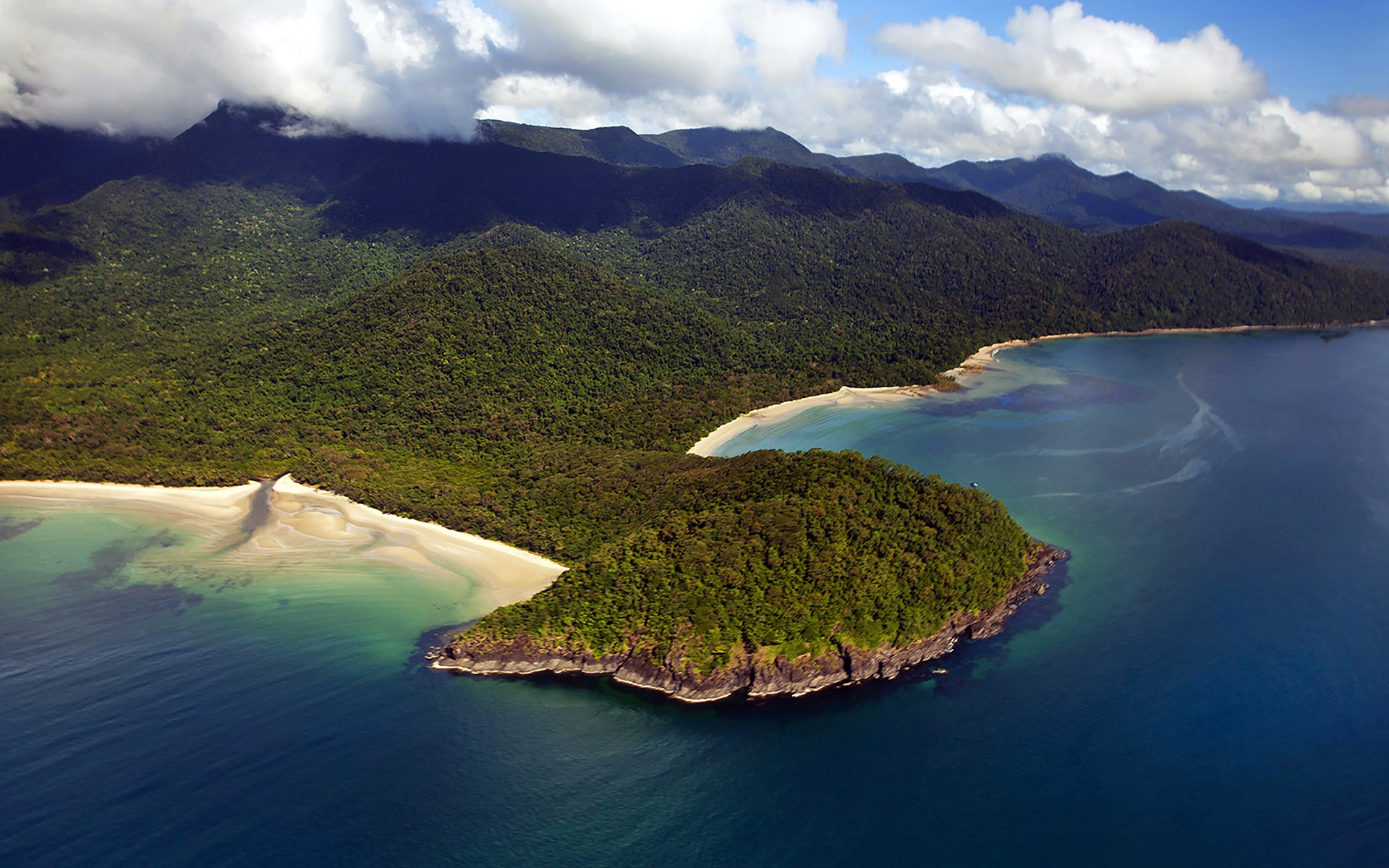 Cape Tribulation | LAT.40