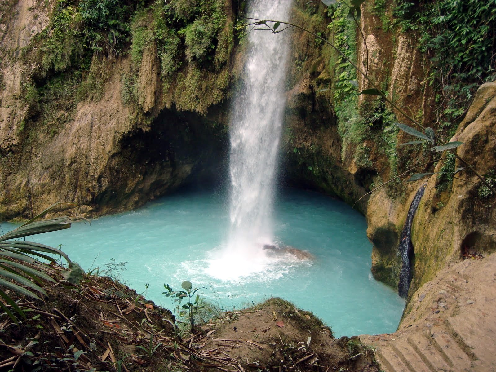 Cebu | LAT.40