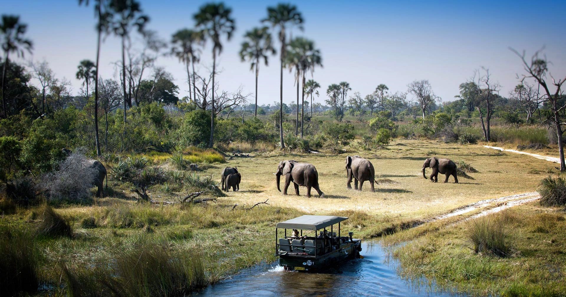 Chobe | LAT.40