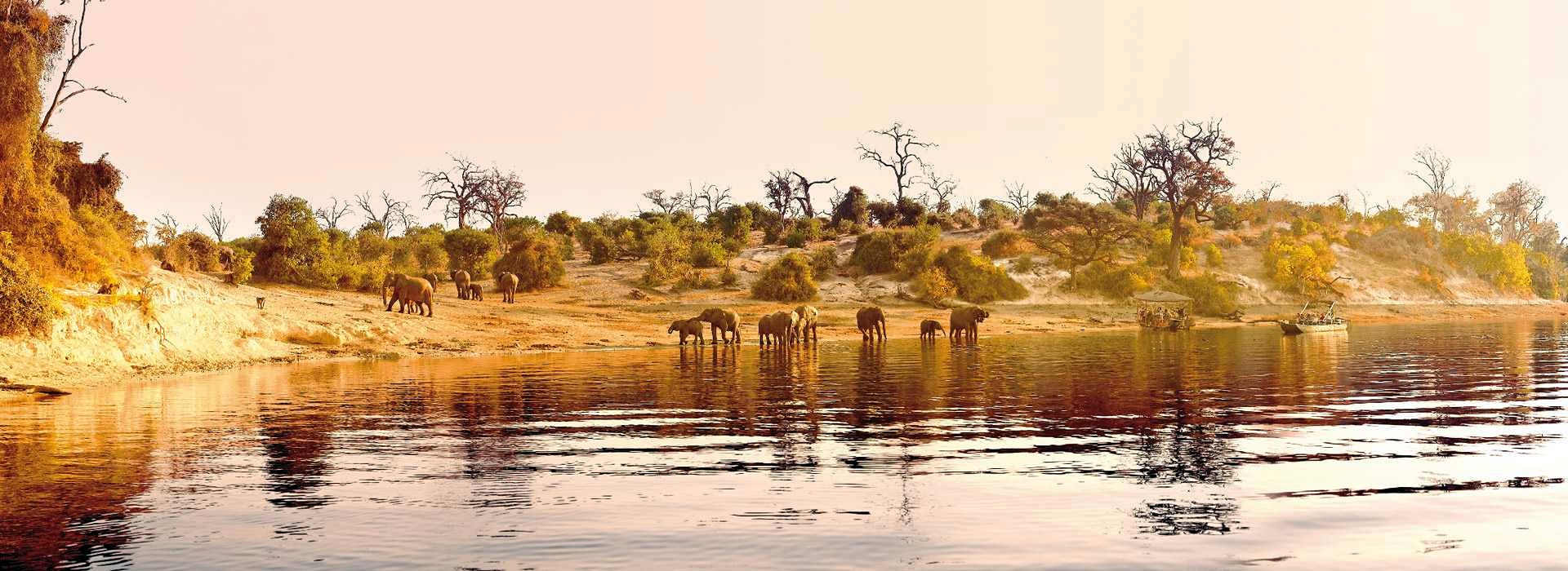 Chobe | LAT.40