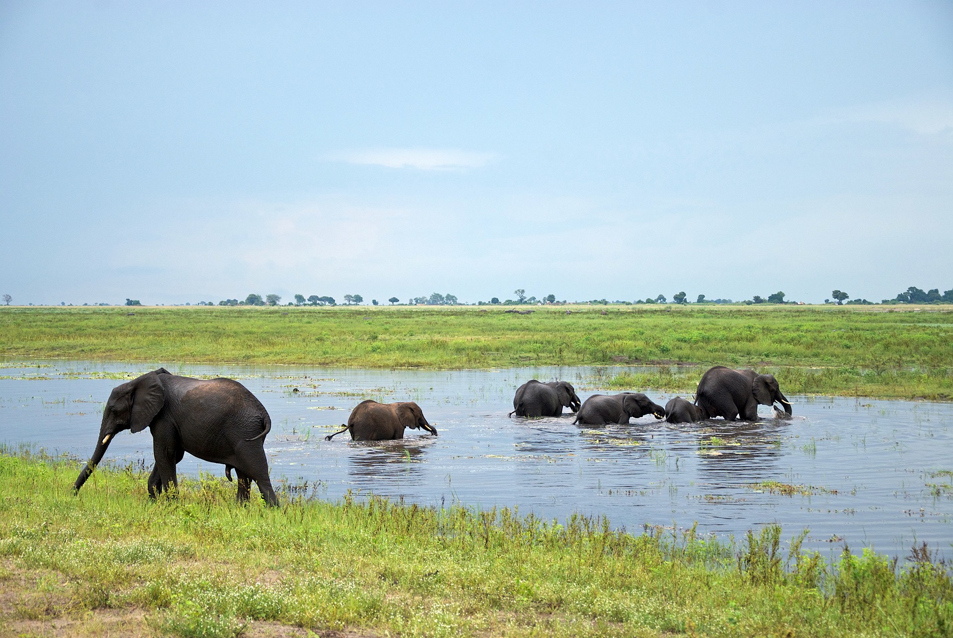 Chobe | LAT.40