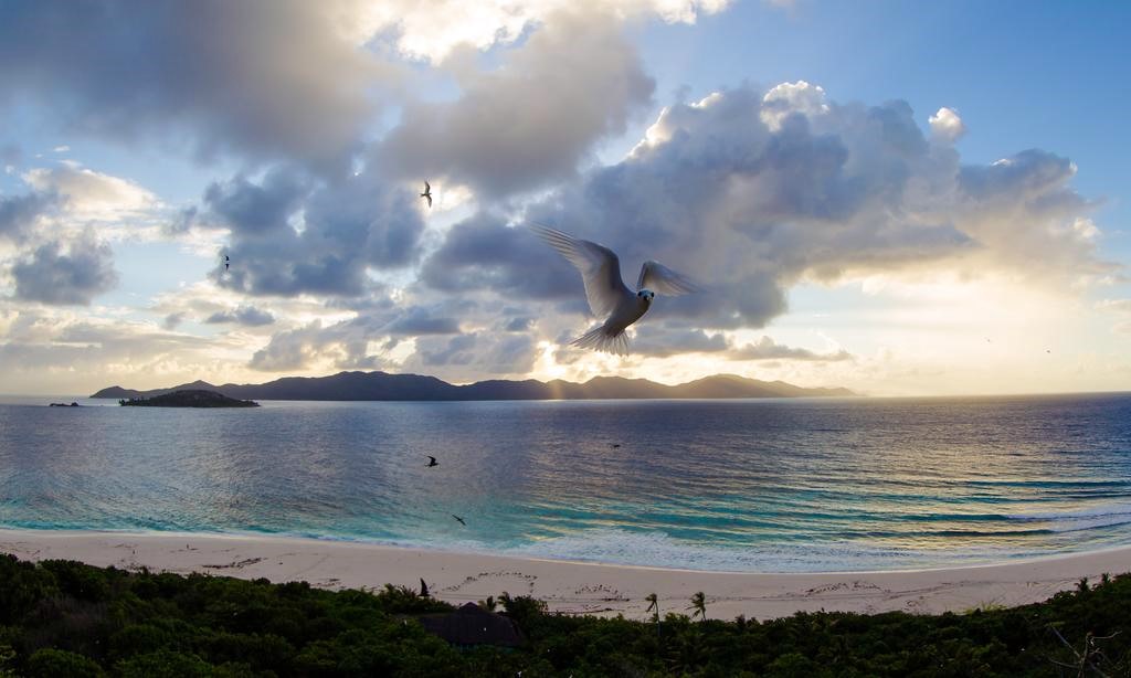 Cousine Island | LAT.40