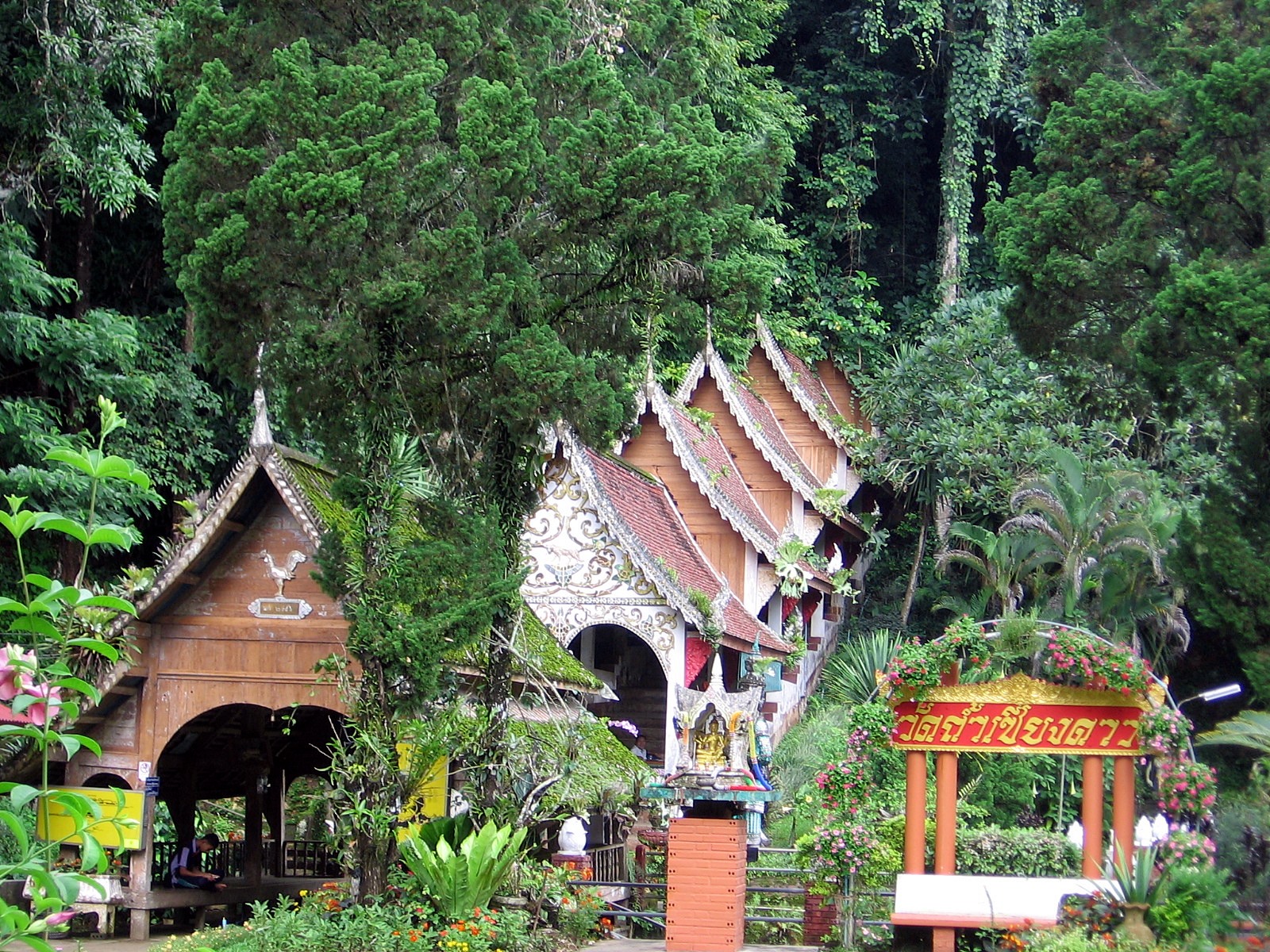 Cuevas Chiang Dao en elefante | LAT.40