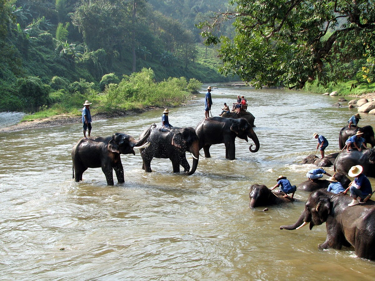 Cuevas Chiang Dao en elefante | LAT.40