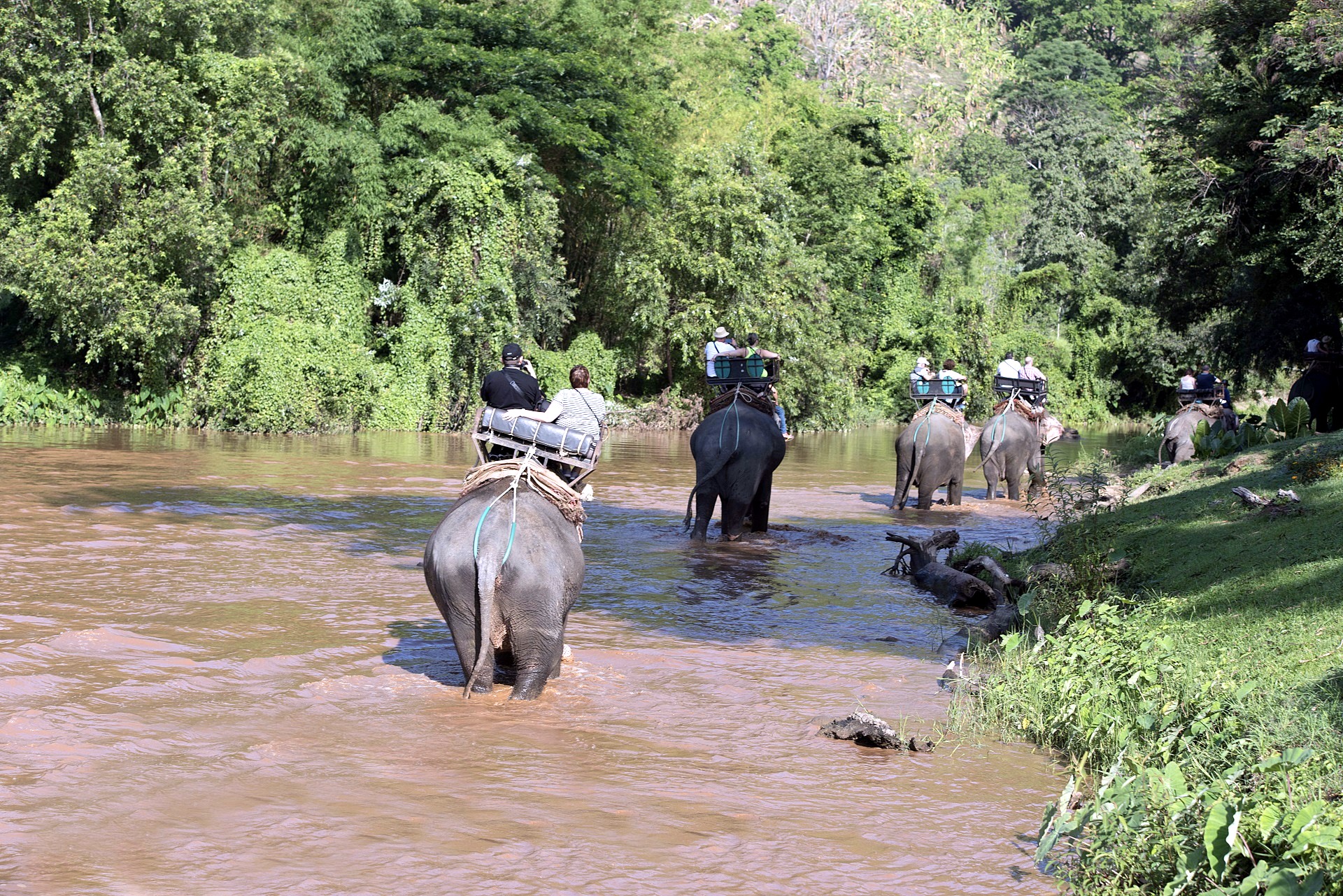 Cuevas Chiang Dao en elefante | LAT.40