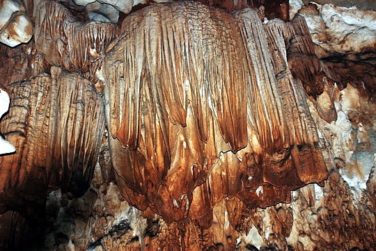 Cuevas Chiang Dao en elefante | LAT.40
