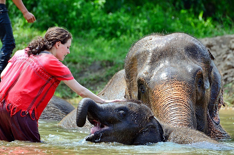 Cuevas Chiang Dao en elefante | LAT.40