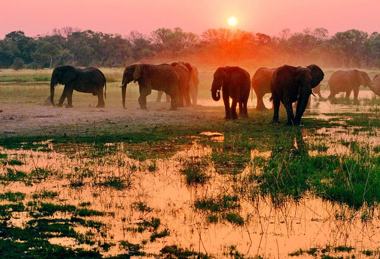 Delta Okavango | LAT.40