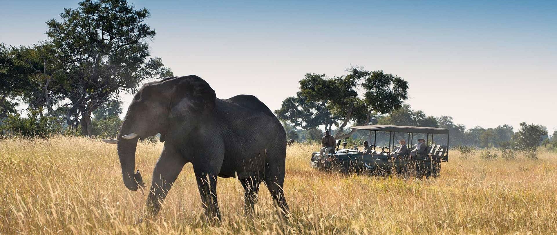Delta Okavango | LAT.40