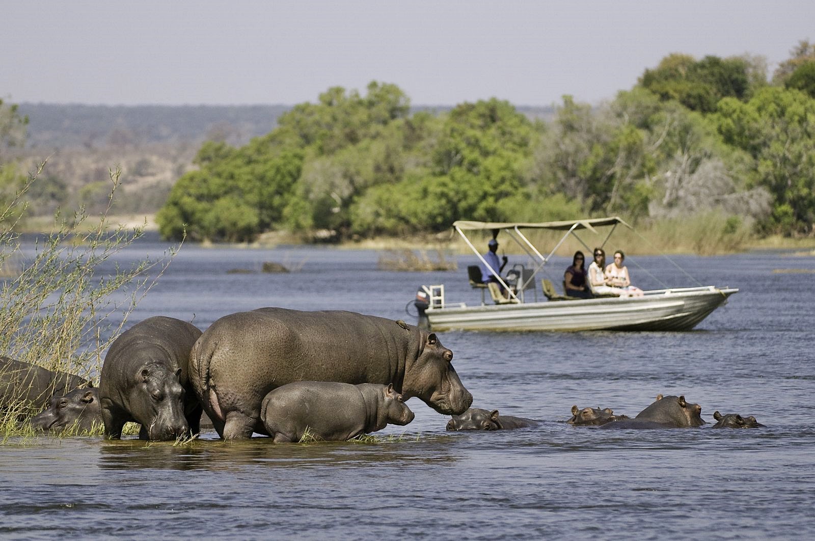 Delta Okavango | LAT.40