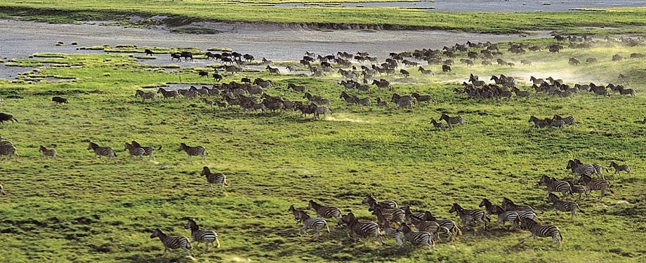 Delta Okavango | LAT.40