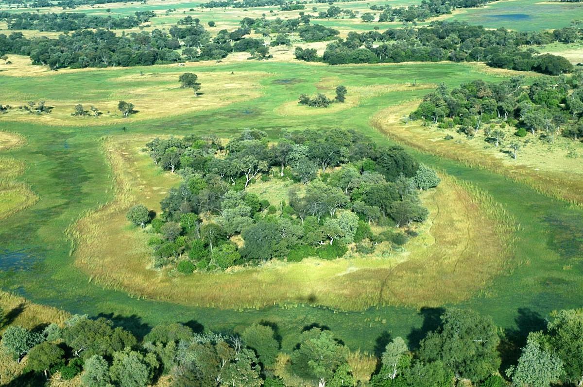 Delta Okavango | LAT.40