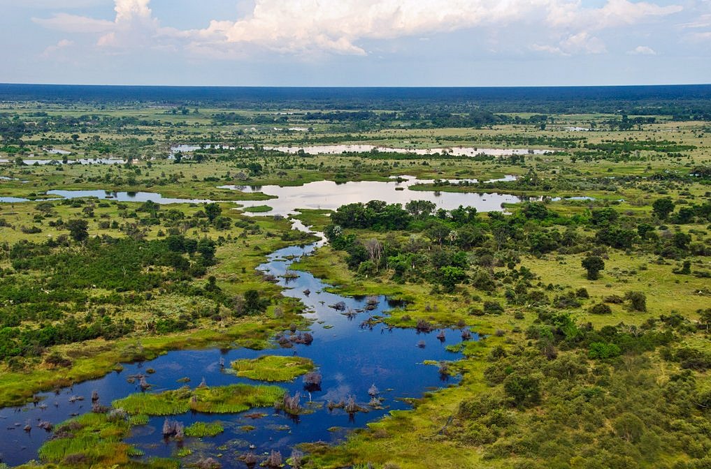 Delta Okavango | LAT.40