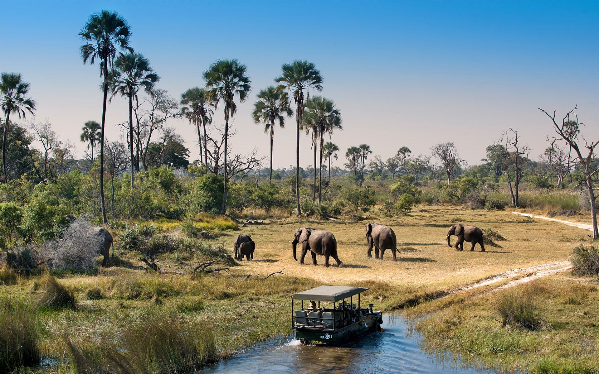 Delta Okavango | LAT.40