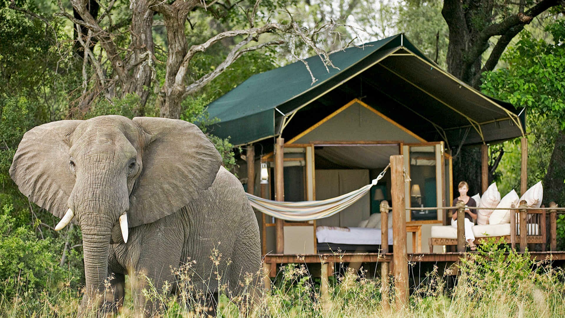 Delta Okavango | LAT.40
