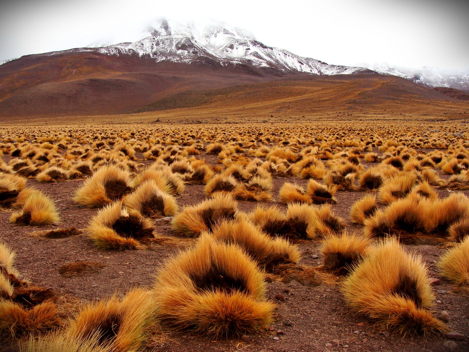 Imagen de viaje LAT.40