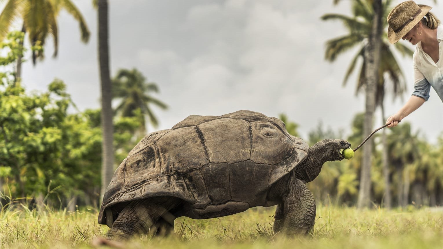 Desroches Island | LAT.40
