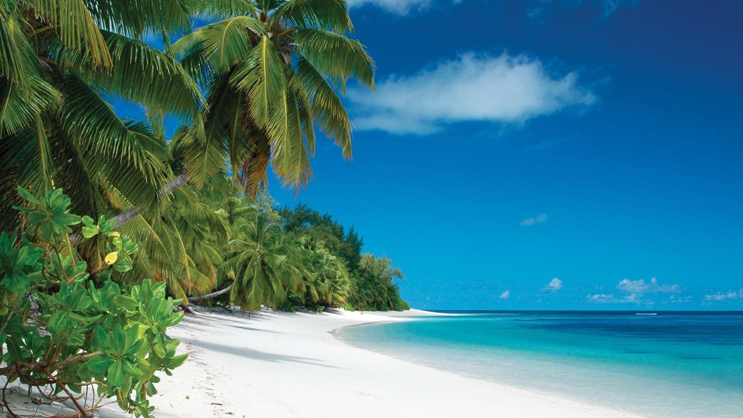 Desroches Island | LAT.40