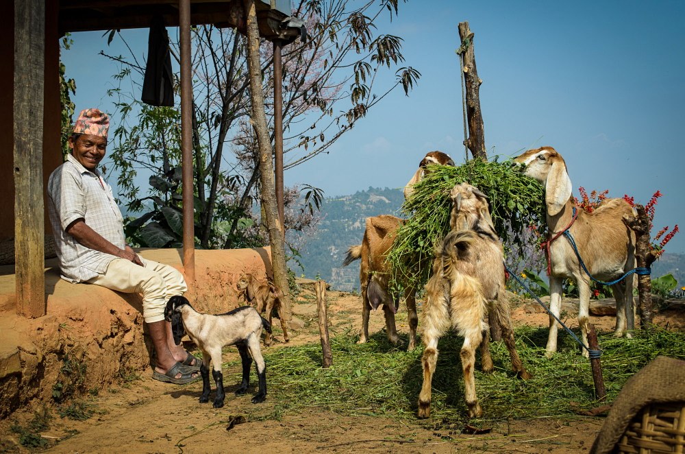 Dhulikhel | LAT.40