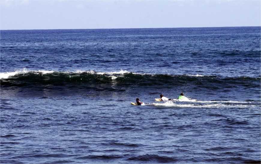 Dorado | LAT.40