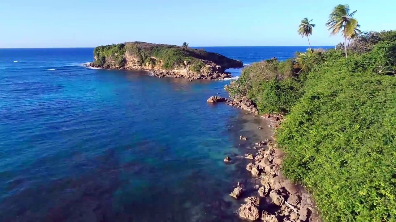 Dorado | LAT.40