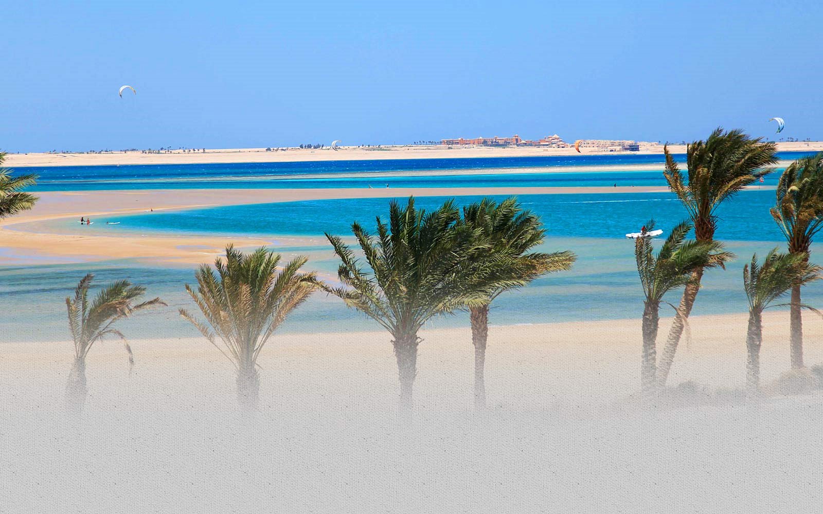 El Gouna | LAT.40