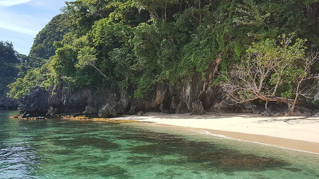 Kundugman Beach Cottages en El Nido