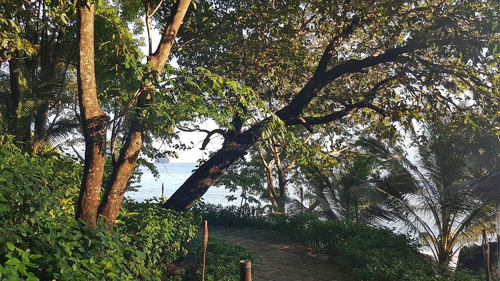 Kundugman Beach Cottages en El Nido