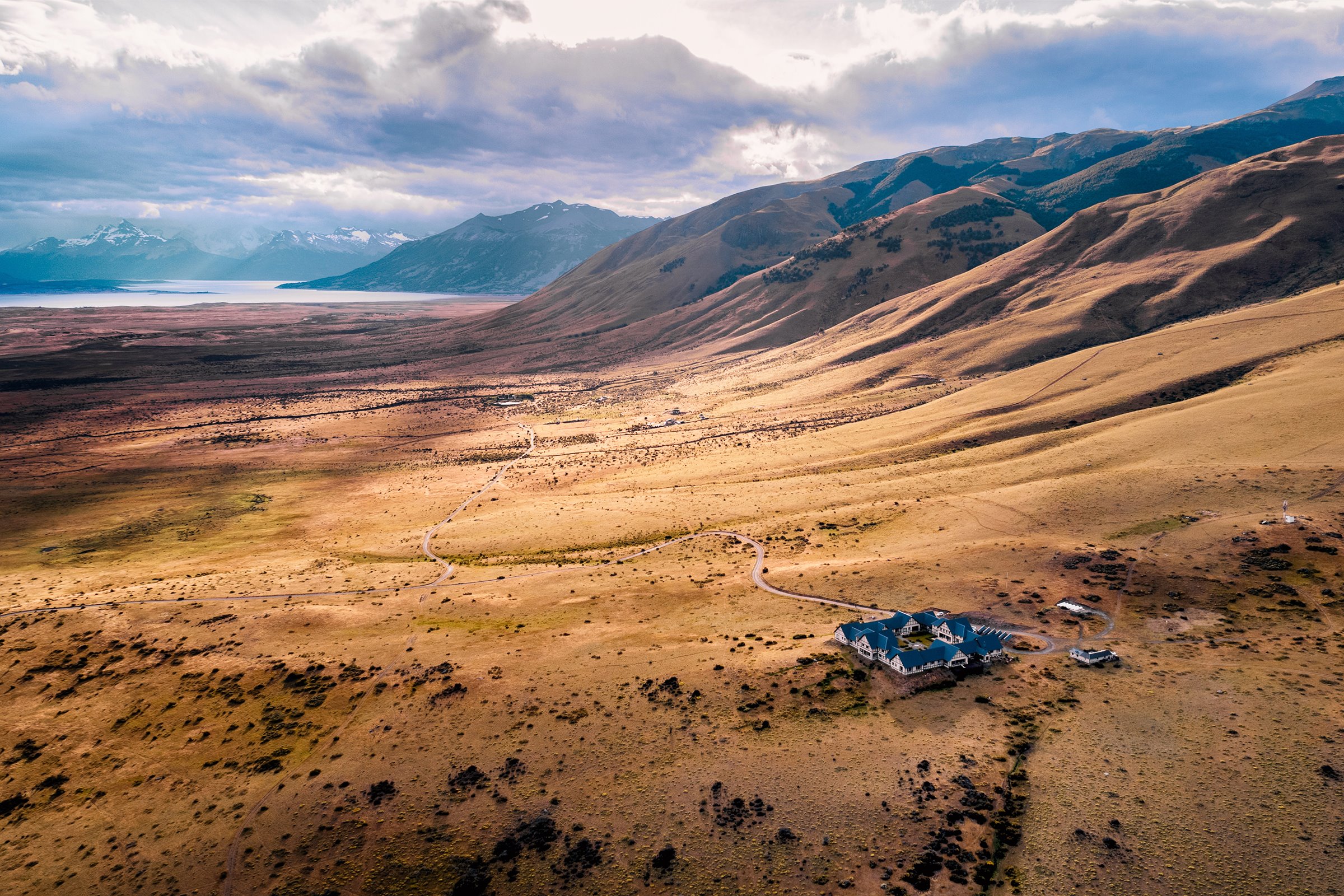 Calafate