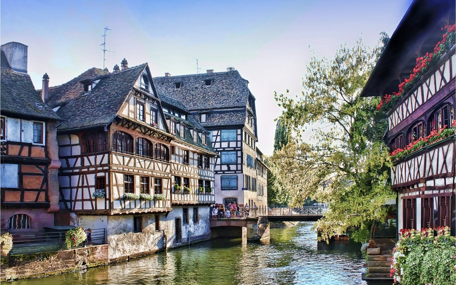 Estrasburgo | LAT.40