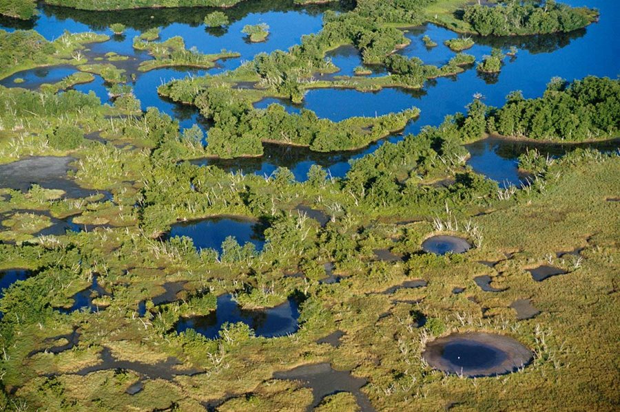 Everglades National Park | LAT.40